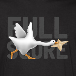 Full Score Goose - Organic hoody in black